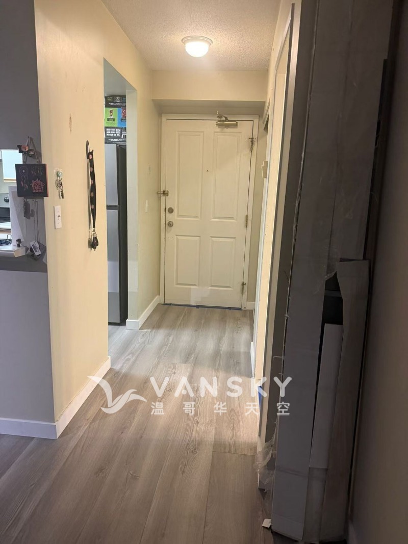 260326234908_surry5 2.jpg